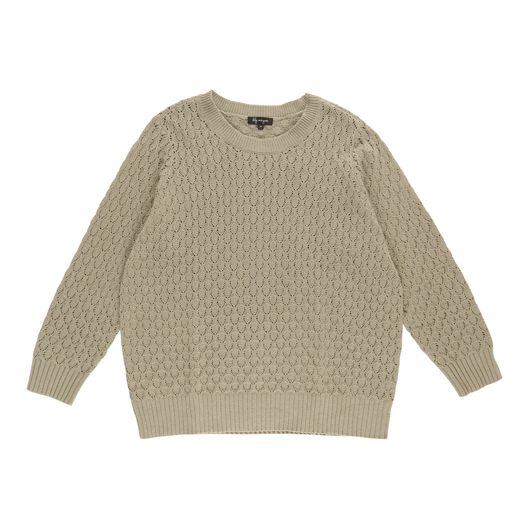 lily morgan Women's Plus Crew Neck Stitch Sweater