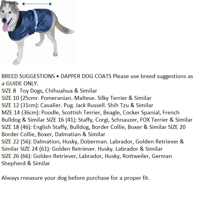 Zeez Dapper Dog Clothing Jacket Water Proof